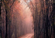 犹他爵士2025-26赛季阵容风暴：艾斯·贝利能否逆袭首发？