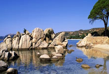 犹他爵士2025-26赛季阵容风暴：艾斯·贝利能否逆袭首发？